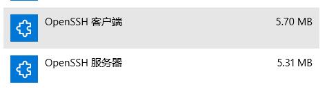 可选功能(本图为已经安装OpenSSH Server图)